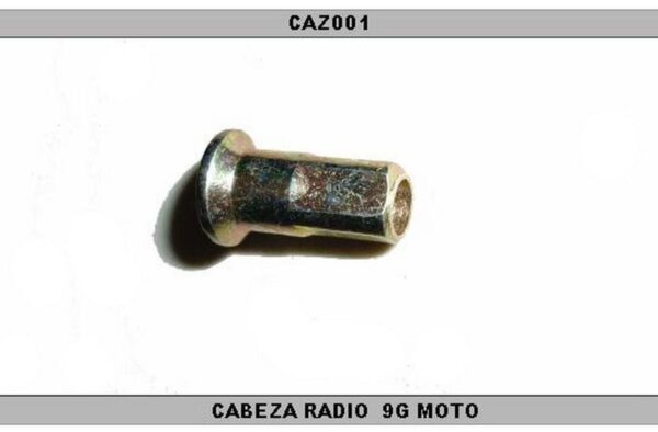 CABEZA RADIO  9G MOTO (72 PCS.)