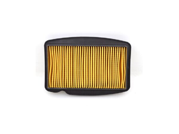 FILTRO AIRE LONCIN250/300 TKCR5 (2015)